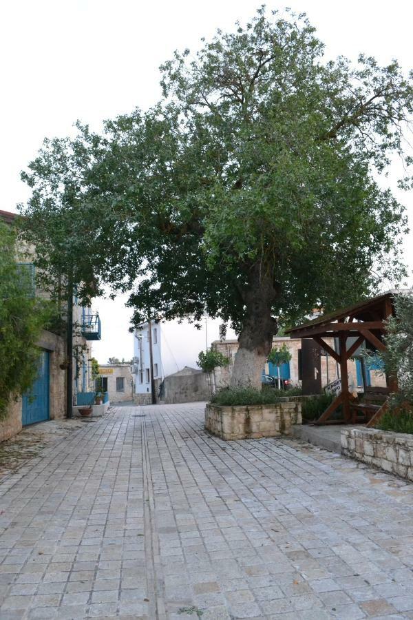 Malietzis House Villa Pano Arodes Exterior foto